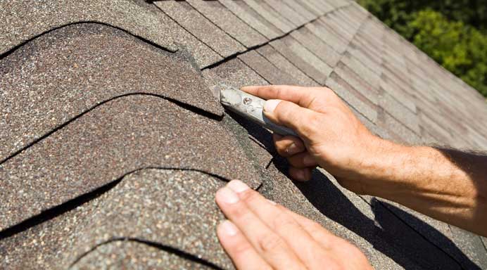 Roofer carrying out roof repairs and maintenance in Auckland